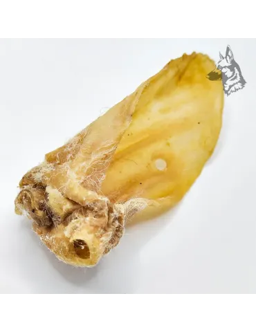 Orejas de Cordero 2