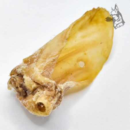 Orejas de Cordero