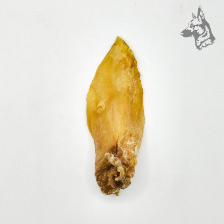Orejas de Cordero