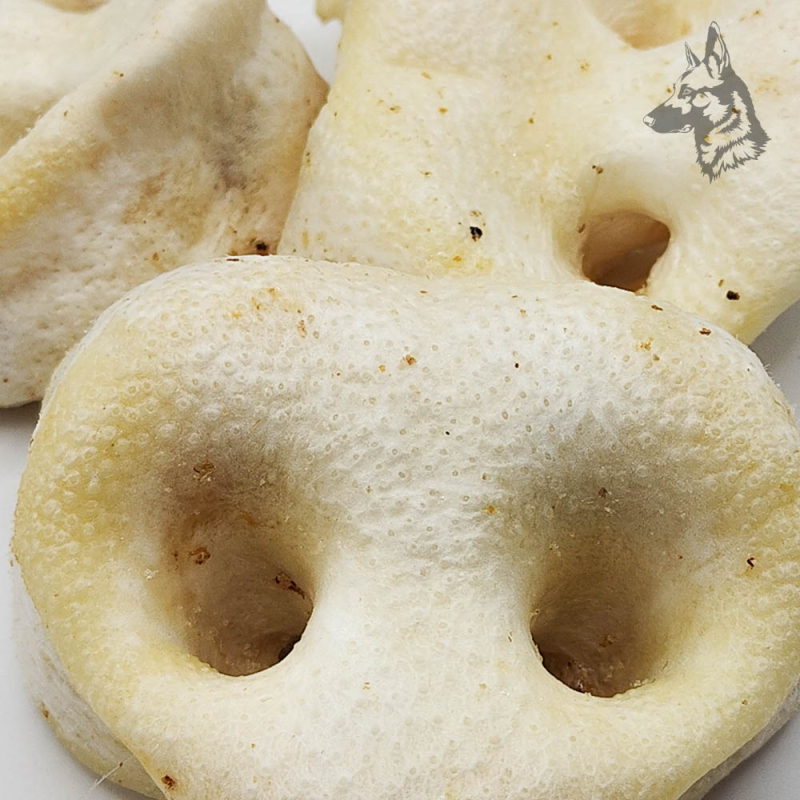 Primer plano de un morro de cerdo deshidratado e inflado, rico en colágeno y con una textura irresistible para tu mascota.