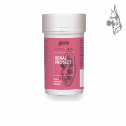 Bote de Gloria Supple Pets Renal Protect – Suplemento en polvo para el cuidado renal de perros y gatos. Fórmula natural con Cyna