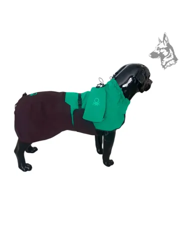 Vista superior del chubasquero para perros Benetton en color verde y negro con bolsillo – Diseño premium, transpirable e imperme 2