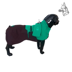 Vista superior del chubasquero para perros Benetton en color verde y negro con bolsillo – Diseño premium, transpirable e imperme 2