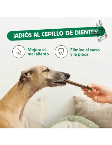 Wild Balance Stick Dental Fuera Placa con Algas Marinas, 7 sticks para perros 2