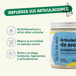 Tarro de suplemento "Articulaciones de Acero" de Wild Balance, con etiqueta azul y detalles en amarillo. Destaca su función cond 2