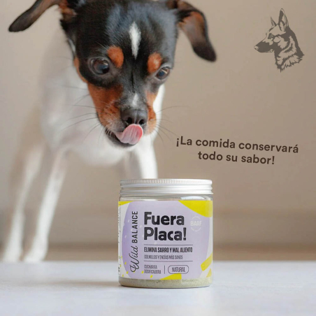 Perro pequeño de raza toy lamiéndose mientras observa el suplemento "Fuera Placa!" sobre una superficie. Texto indicando que la 