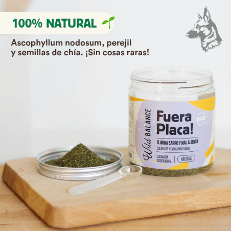 Tarro abierto de "Fuera Placa!" mostrando su contenido en polvo de color verde. Texto resaltando sus ingredientes naturales como