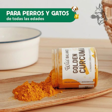 Un frasco de Golden Cúrcuma tumbado sobre una tabla de madera, con el polvo dorado derramado. Texto superior indica que es apto 