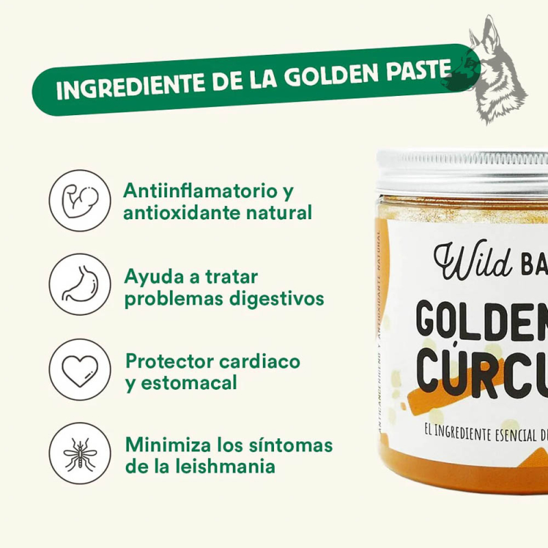Infografía destacando los beneficios de la Golden Cúrcuma, como su efecto antiinflamatorio, apoyo digestivo y protección cardíac