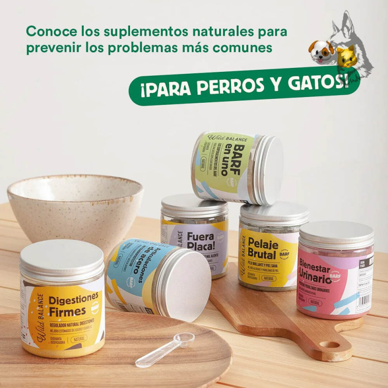Varios suplementos Wild Balance organizados sobre una mesa de madera, con diferentes funciones como digestión, salud dental y bi