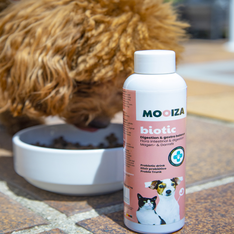Mooiza Biotic