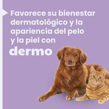 Mooiza Dermo