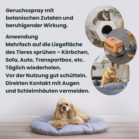Mooiza Zen Spray