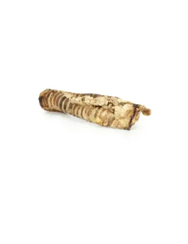 Tráquea de vacuno natural deshidratada para perro, snack masticable rico en colágeno.