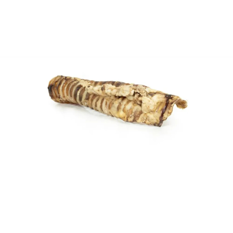 Tráquea de vacuno natural deshidratada para perro, snack masticable rico en colágeno.