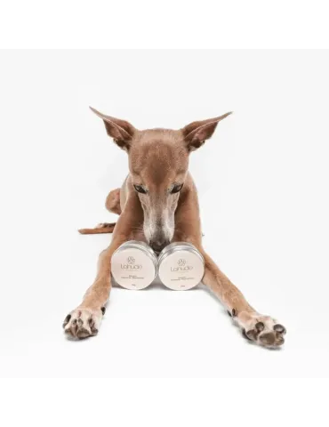 Perro tumbado sujetando dos botes de bálsamo regenerador Lahude entre las patas.
