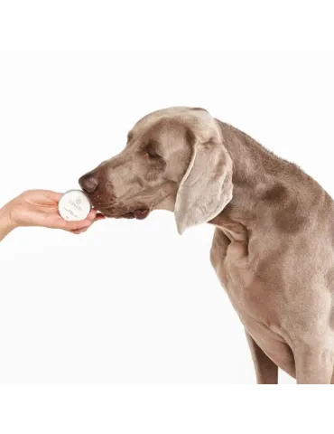 Perro tumbado sujetando dos botes de bálsamo regenerador Lahude entre las patas. 2