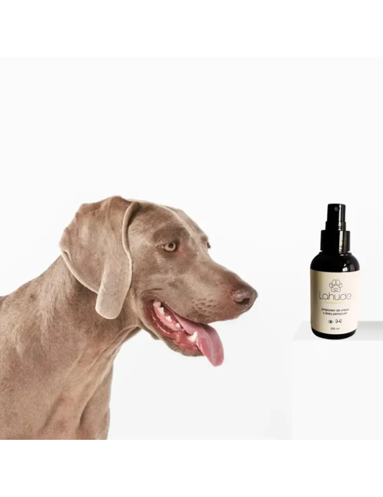 Perro junto a un bote del limpiador de orejas y zona periocular Lahude.