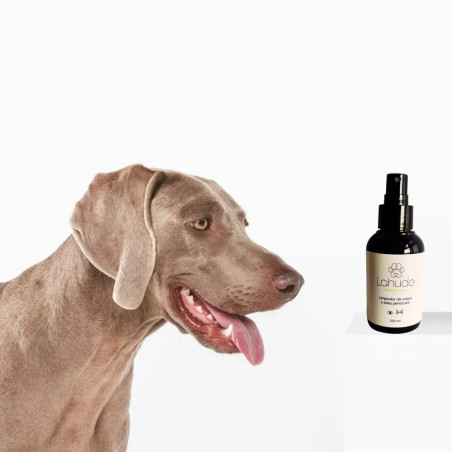 Perro junto a un bote del limpiador de orejas y zona periocular Lahude.