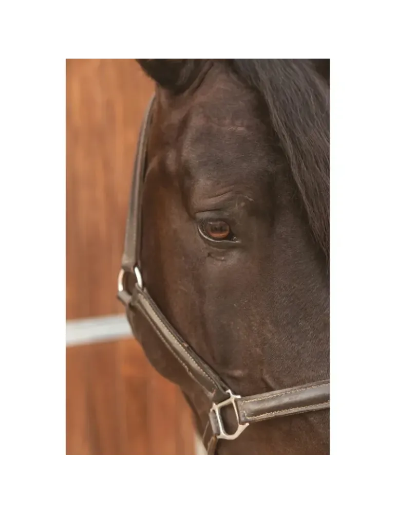 Ojo de caballo limpio tras aplicación de limpiador natural Lahude.