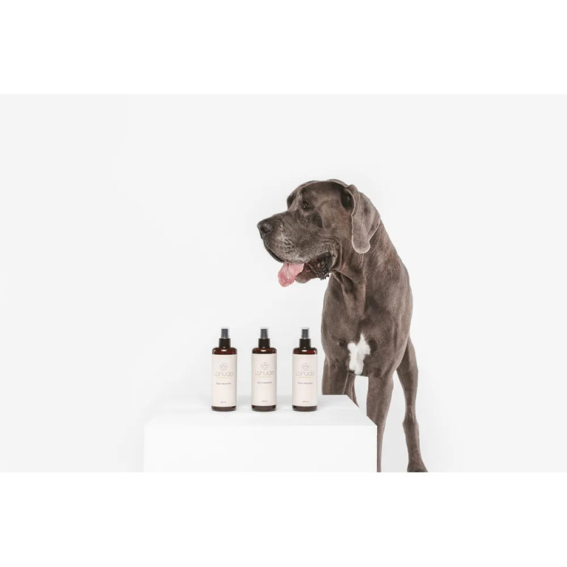 Perro posando junto a la línea completa de sprays Lahude.