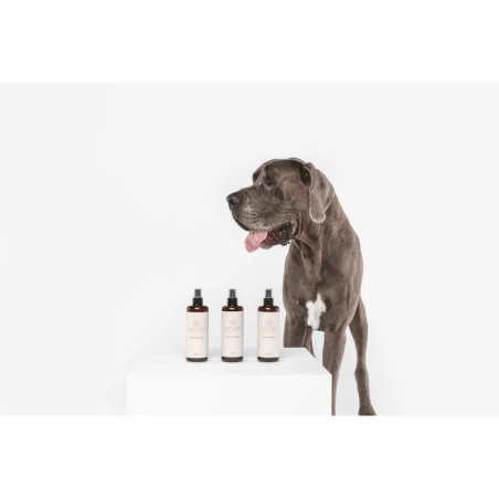 Perro posando junto a la línea completa de sprays Lahude.