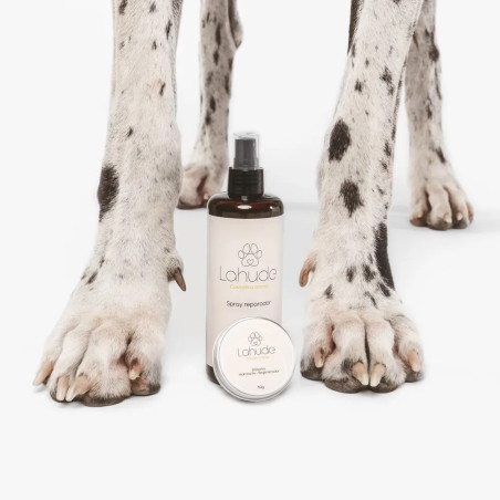 Patas de dálmata con spray y bálsamo regenerador Lahude entre ellas.