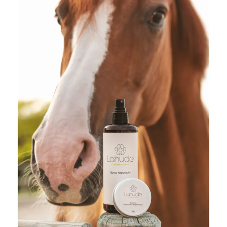 Primer plano de un caballo junto al spray reparador y bálsamo hidratante de Lahude.