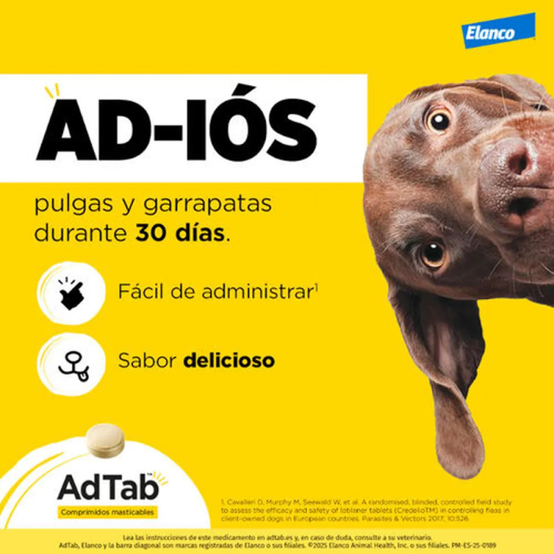 Perro mirando desde un costado con fondo amarillo, promocionando AdTab como comprimido masticable contra pulgas y garrapatas por