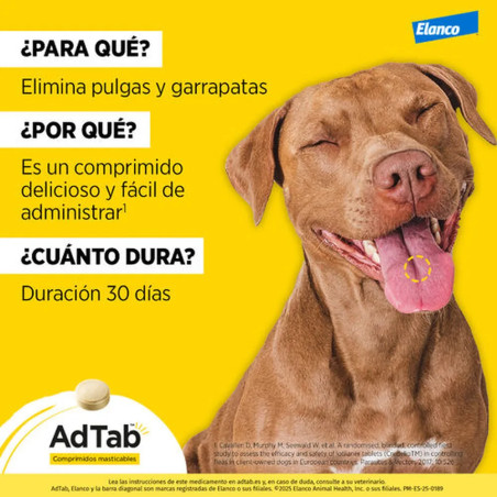Perro marrón sonriendo con fondo amarillo, resaltando beneficios de AdTab: fácil de usar, sabroso y con duración de 30 días