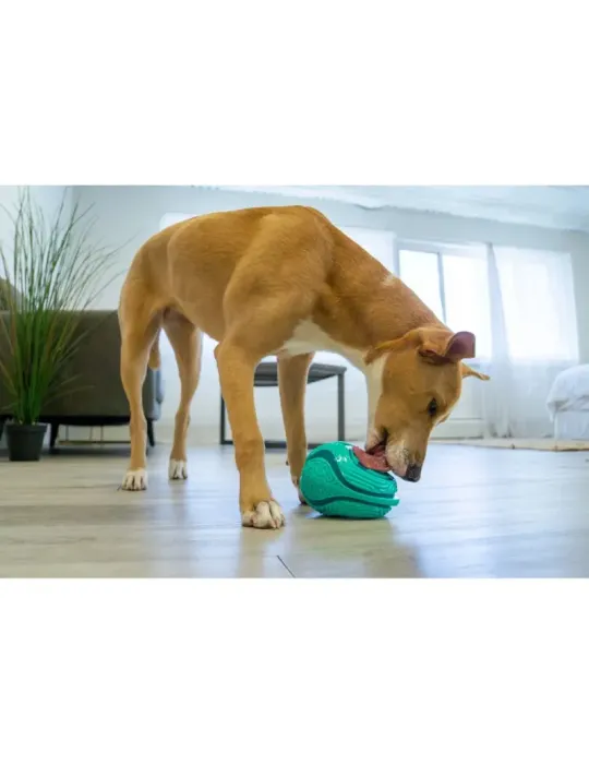 Perro interactuando con el juguete KONG Rewards Licks en casa