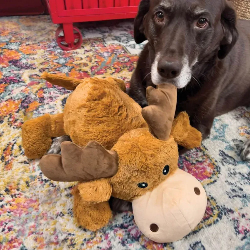 Perro grande jugando con el peluche KONG Cozie Marvin the Moose XL