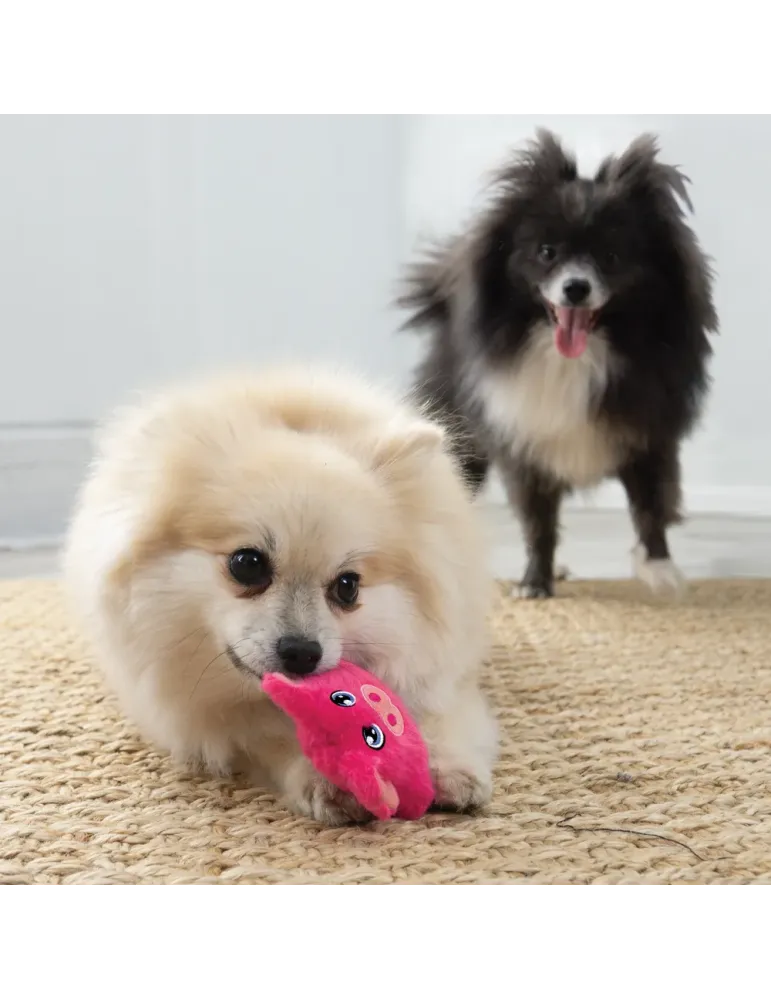 Perro pequeño jugando con el juguete KONG Phatz Pig mini rosa sobre una alfombra, acompañado de otro perro