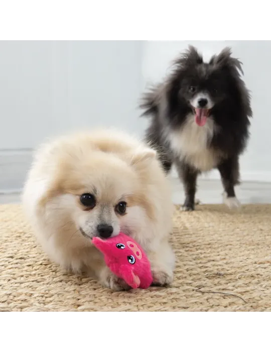 Perro pequeño jugando con el juguete KONG Phatz Pig mini rosa sobre una alfombra, acompañado de otro perro