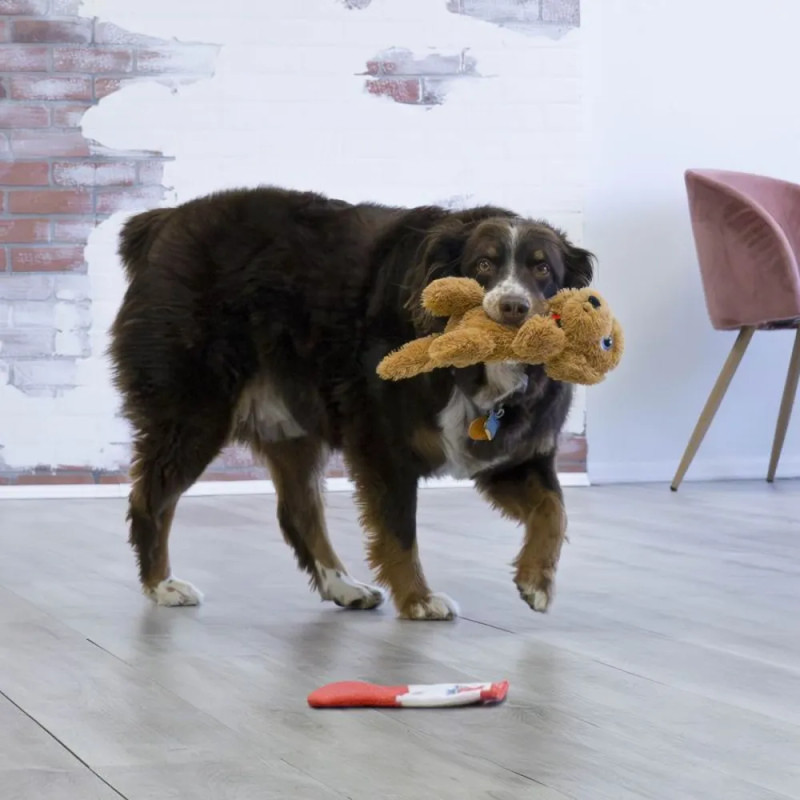 Perro grande jugando con el peluche marrón KONG Comfort Tykes, ideal también para razas medianas y grandes.