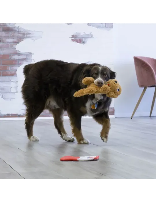 Perro grande jugando con el peluche marrón KONG Comfort Tykes, ideal también para razas medianas y grandes.