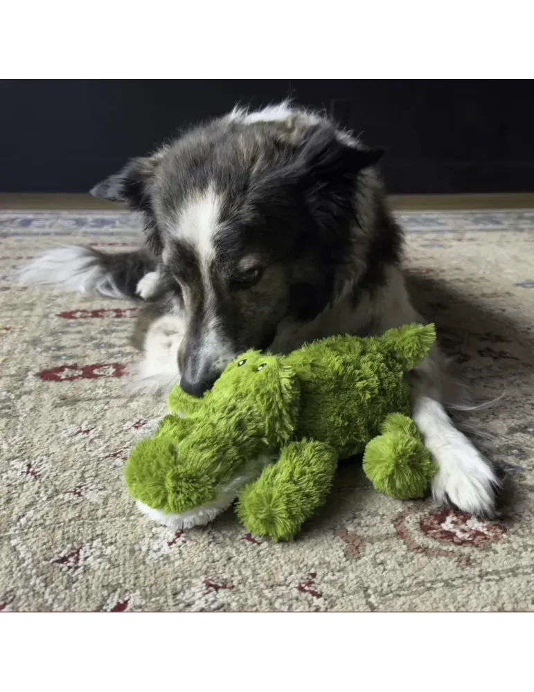 Perro interactuando con el peluche KONG Cozie Ali Alligator