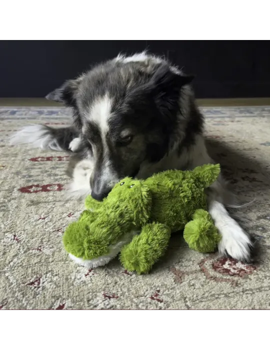 Perro interactuando con el peluche KONG Cozie Ali Alligator