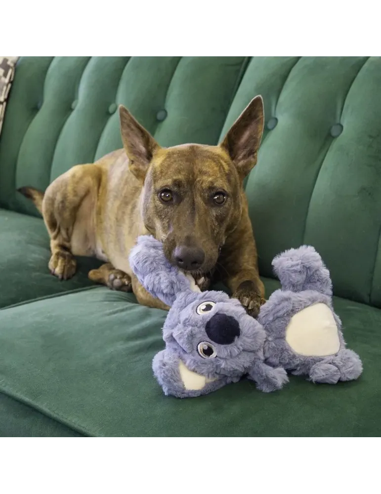 Perro tumbado en sofá verde jugando con peluche KONG Scrumplez Koala, sujetándolo suavemente con la boca. Escena cálida y real.