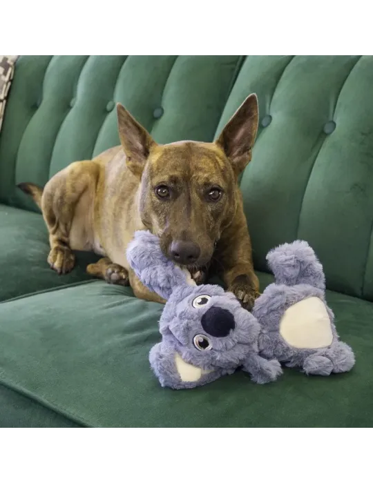 Perro tumbado en sofá verde jugando con peluche KONG Scrumplez Koala, sujetándolo suavemente con la boca. Escena cálida y real.