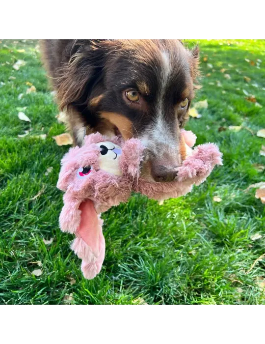 Perro jugando en el césped con peluche KONG Scrumplez Conejo Rosa, sujetándolo suavemente con la boca. Juguete ideal para juegos