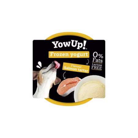 Yow Up Yogurt Helado Tartar de Salmón