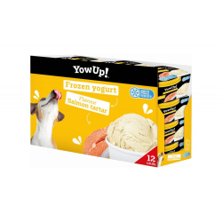 Yow Up Yogurt Helado Tartar de Salmón 2