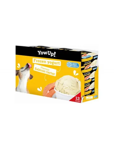 Yow Up Yogurt Helado Tartar de Salmón 2