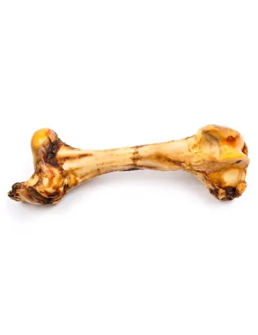 Hueso de buey XXL natural para perro, vista superior centrada
