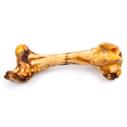 Hueso de buey XXL natural para perro, vista superior centrada