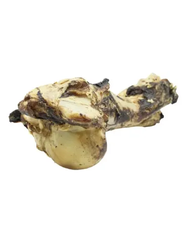 Hueso de mamut natural de 1,5 kg para perro grande, snack ancestral duradero