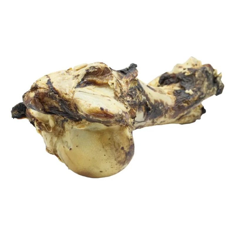 Hueso de mamut natural de 1,5 kg para perro grande, snack ancestral duradero
