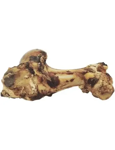 Hueso de mamut natural de 1,5 kg para perro grande, snack ancestral duradero 2