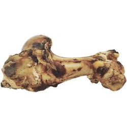 Hueso de mamut natural de 1,5 kg para perro grande, snack ancestral duradero 2